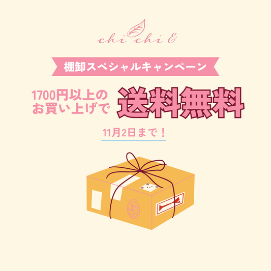 1700円以上送料無料🍁棚卸セール開催中！