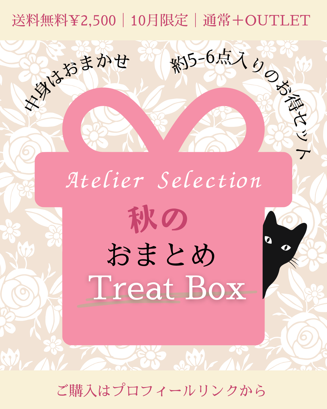 秋のおまとめ Treat Box｜通常＆OUTLET 5-6点｜送料無料［¥2,500］